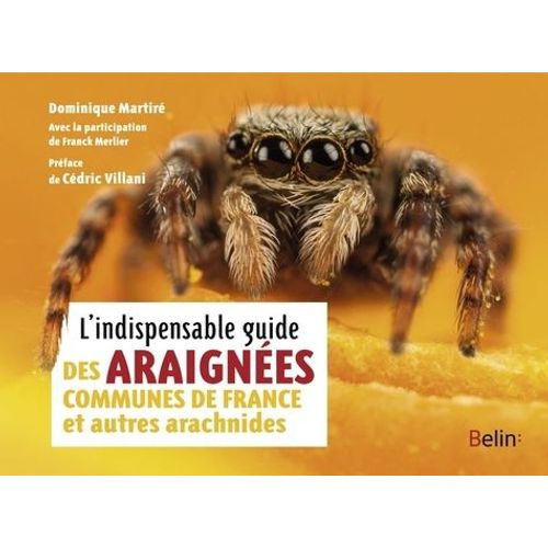 L'indispensable Guide Des Araignes Communes De France Et Autres Arachnides    Format Poche 