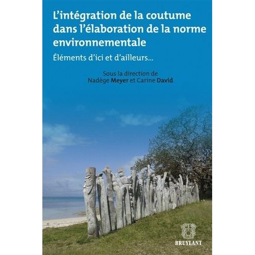 L'intgration De La Coutume Dans L'laboration De La Norme Environnementale - Elments D'ici Et D'ailleurs   de Meyer Nadge  Format Broch 