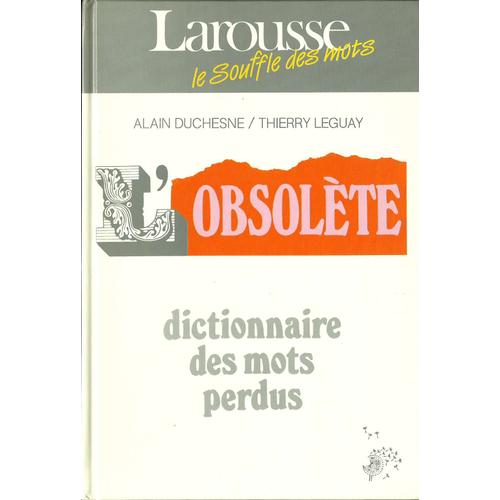 L'obsolte Dictionnaire Des Mots Perdus   de thierry leguay 