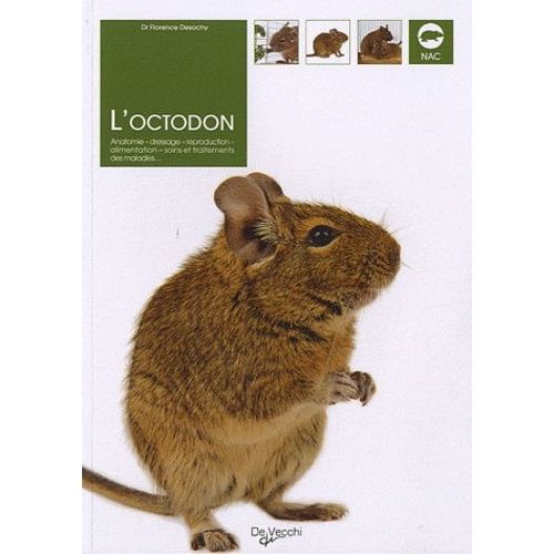 L'octodon - Anatomie, Dressage, Reproduction, Alimentation, Soins Et Traitements Des Maladies   de Desachy Florence  Format Broch 