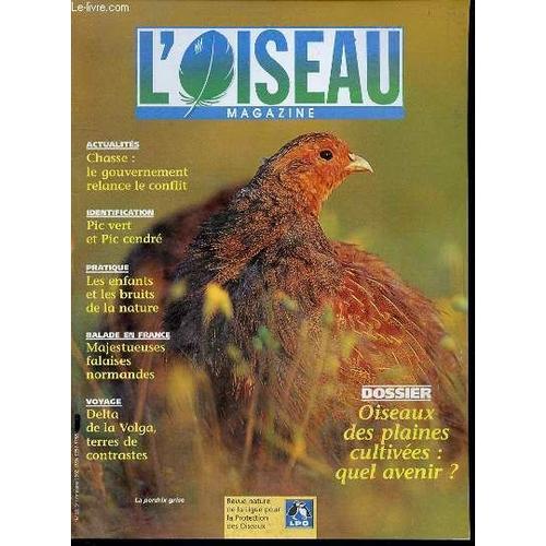 L'oiseau Magazine N68 - Dossier : Oiseaux Des Plaines Cultives : Quel Avenir ? / Chasse : Le Gouvernement Relance Le Conflit / Pic Vert Et Pic Cendr / Majestueuses Falaises Normandes / ...   de COLLECTIF  Format Broch 