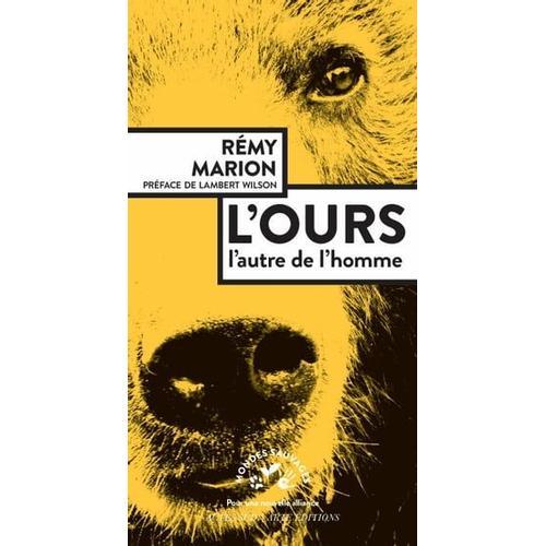 L'ours   de Rmy Marion