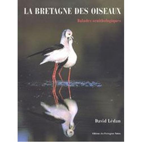 La Bretagne Des Oiseaux - Balades Ornithologiques   de David Ldan  Format Reli 