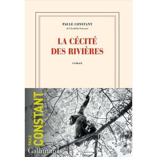 La Ccit Des Rivires    Format Beau livre 
