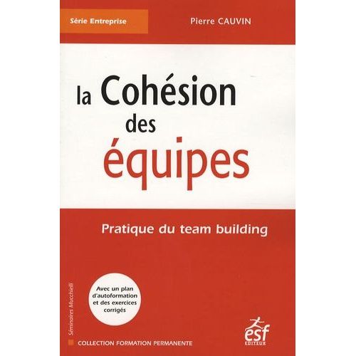 La Cohsion Des quipes - Pratique Du Team Building    Format Broch 