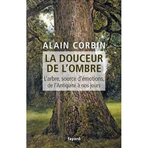 La Douceur De L'ombre  