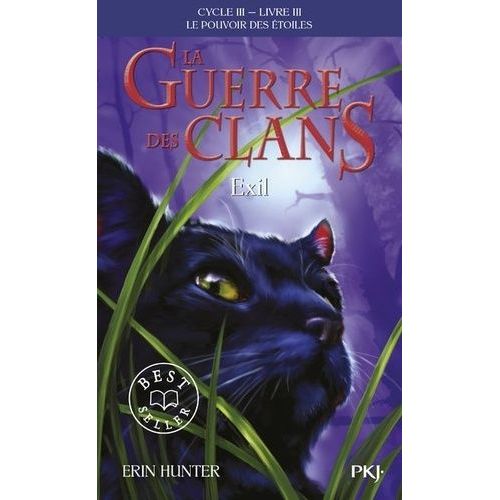 La Guerre Des Clans : Le Pouvoir Des toiles (Cycle Iii) - Tome 3 - Exil   de Hunter Erin  Format Poche 