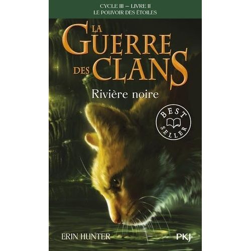 La Guerre Des Clans : Le Pouvoir Des toiles (Cycle Iii) - Tome 2 - Rivire Noire   de Hunter Erin  Format Poche 