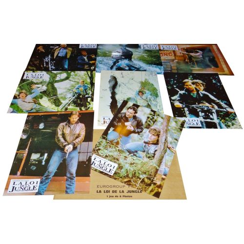 La Loi De La Jungle (Quiet Cool) : Jeu De Photos D'exploitation Cinmatographique - Format 21x27 Cm - De Clay Borris Avec James Remar, Adam Coleman Howard, Daphne Ashbrook - 1986