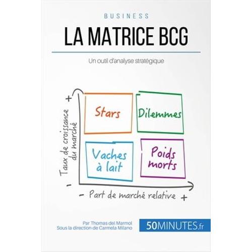 La Matrice Bcg Et Les D Cisions Manag Riales Comment Analyser Une Situation Dans Son Contexte