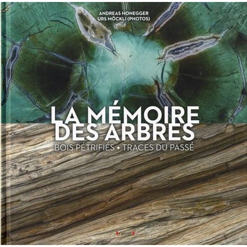 La Mmoire Des Arbres - Bois Ptrifis, Traces Du Pass   de Honegger Andreas  Format Beau livre 