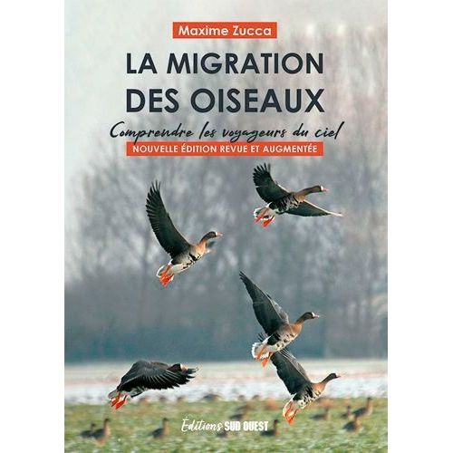 La Migration Des Oiseaux - Comprendre Les Voyageur Du Ciel    Format Beau livre 