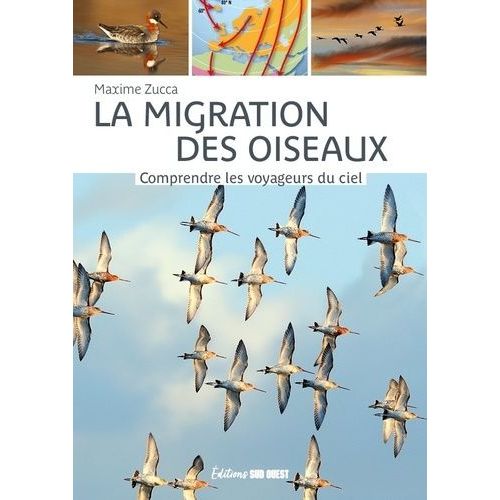 La Migration Des Oiseaux - Comprendre Les Voyageurs Du Ciel    Format Beau livre 
