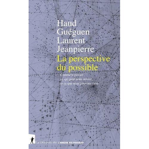 La Perspective Du Possible - Comment Penser Ce Qui Peut Nous Arriver Et Ce Que Nous Pouvons Faire   de Guguen Haud  Format Beau livre 