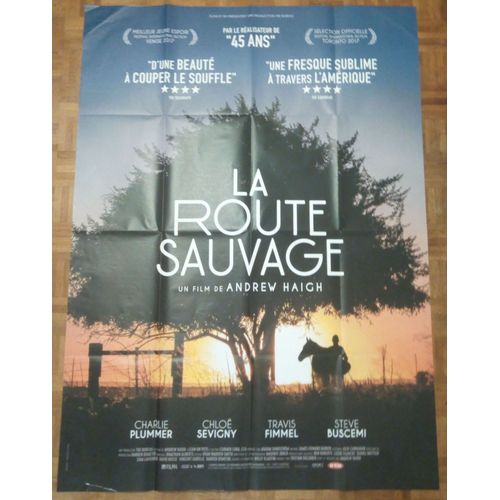 La Route Sauvage Lean On Pete Vritable Affiche De Cinma Plie De Andrew Haigh Avec Charlie Plummer, Chlo Sevigny, Steve Buscemi, 160*120 2018