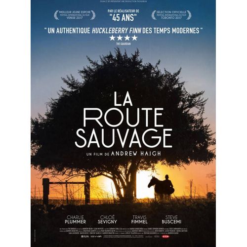 La Route Sauvage (Lean On Pete) - Vritable Affiche De Cinma Plie - Format 120x160 Cm - De Andrew Haigh Avec Charlie Plummer, Chlo Sevigny, Steve Buscemi, Travis Fimmel - 2018