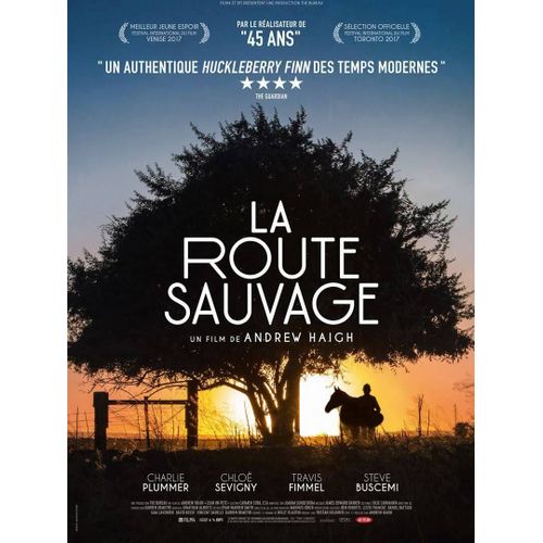 La Route Sauvage (Lean On Pete) - Vritable Affiche De Cinma Plie - Format 120x160 Cm - De Andrew Haigh Avec Charlie Plummer, Chlo Sevigny, Steve Buscemi, Travis Fimmel - 2018