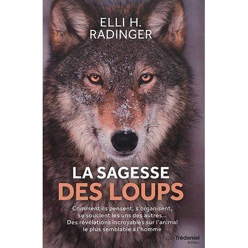 La Sagesse Des Loups - Comment Ils Pensent, S'organisent, Se Soucient Les Uns Des Autres   de Radinger Elli H.  Format Beau livre 