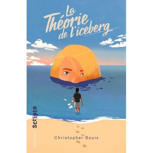 La Thorie De L'iceberg   de Bouix Christopher  Format Beau livre 