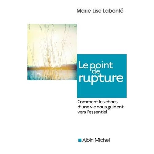 Le Point De Rupture - Comment Les Chocs D'une Vie Nous Guident Vers L'essentiel    Format Broch 