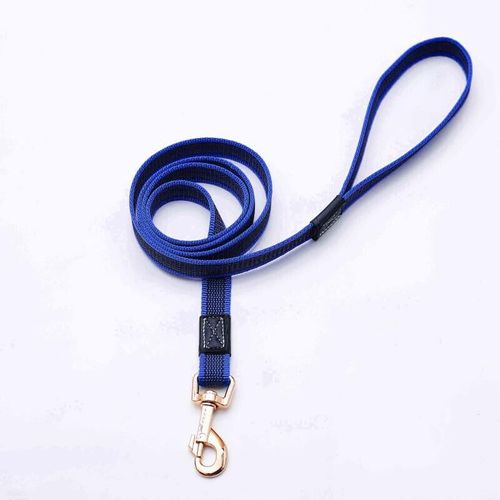 Laisse En Caoutchouc Et Nylon Pour Chien,Longueur De 2m,3m Et 5m,Antidrapante,Idale Pour L'entranement  La Marche Et Le Travail,Convient Aux Petits,Moyens Et Grands Chio - Type Bleu-2.0cmx300cm