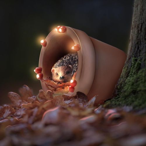 Lampe Solaire En Forme De Hrisson Dans Un Pot De Fleurs  Dcoration De Jardin En Forme De Hrisson  Dcoration De Jardin  nergie Solaire Pour L'extrieur  Pot De Fleurs Lumineux Peint 