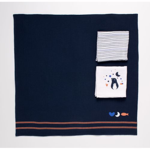 Langes 70x70cm En Coton Bio Boite De 3