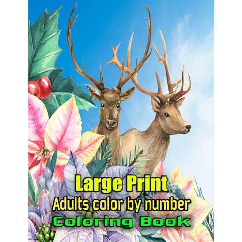 Large Print Adults Color By Number Coloring Book: Easy Large Print Mega ...