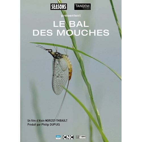 Le Bal Des Mouches de Alain Morizot-Thibault