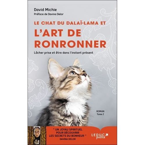 Le Chat Du Dala-Lama - Tome 2 - Le Chat Du Dala-Lama Et L'art De Ronronner   de Michie David  Format Poche 