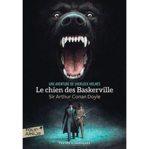 Le Chien Des Baskerville  
