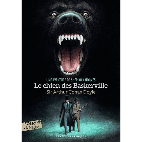Le Chien Des Baskerville    Format Poche 