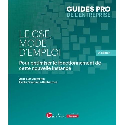 Le Cse, Mode D'emploi - Pour Optimiser Le Fonctionnement De Cette Nouvelle Instance   de Scemama Jean-Luc  Format Beau livre 