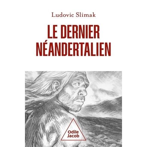 Le Dernier Nandertalien - Comprendre Comment Meurent Les Hommes   de Slimak Ludovic  Format Grand Format 