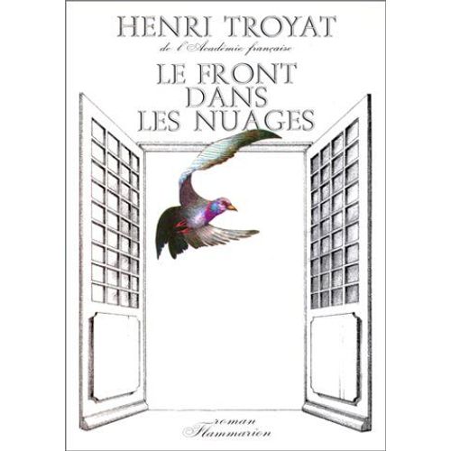 Le Front Dans Les Nuages    Format Broch 