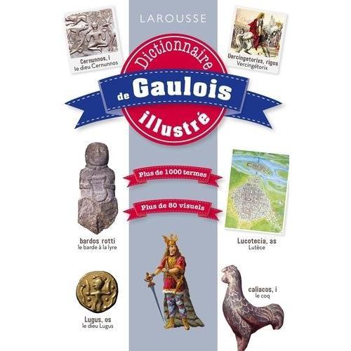 Dictionnaire De Gaulois Illustr    Format Beau livre 