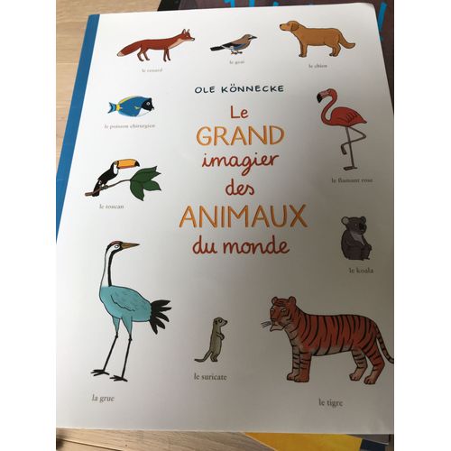 Le Grand Imagier Des Animaux Du Monde   de Ole knnecke  Format Dos carr coll 