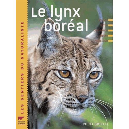 Le Lynx Boral   de Raydelet Patrice  Format Broch 