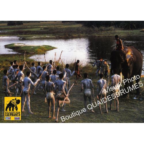 Le Matre Des lphants : Jeu De Photos D'exploitation Cinmatographique - Format 21x29,5 Cm - De Patrick Grandperret Avec Alain Artur, Bassek Ba Kobhio, Erwan Baynaud, Boubakari Bello - 1995