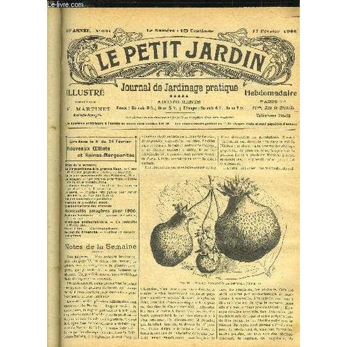 Le Petit Jardin Illustre N 641 - Notes De La Semaine.Le Chrysanthme  La Grande Fleur.  Cours De Culture Populaire (Suite), J. Bletton.La Culture Commerciale Des Palmiers, Hort.Le ...   de COLLECTIF