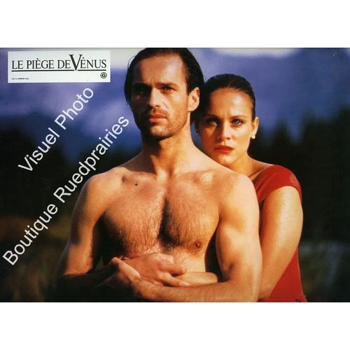 Le Pige De Venus (Die Venusfalle) : Jeu De 8 Photos D'exploitation Cinmatographique - Format 23x29,5 Cm - De Robert Van Ackeren Avec Hanns Zischler, Myriem Roussel, Horst-Gunther Marx - 1988