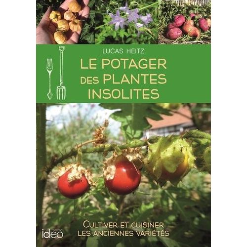 Le Potager Des Plantes Insolites - Cultiver Et Cuisiner Les Anciennes Varits   de Heitz Lucas  Format Beau livre 