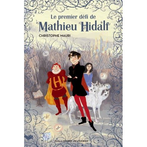 Mathieu Hidalf - Tome 1 - Le Premier Dfi De Mathieu Hidalf    Format Broch 