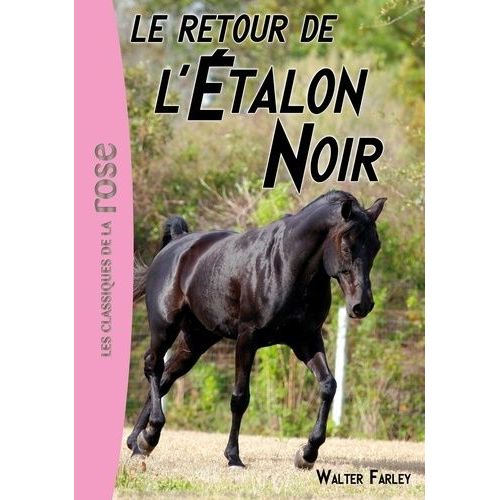 L'etalon Noir - Tome 2 - Le Retour De L'etalon Noir    Format Poche 