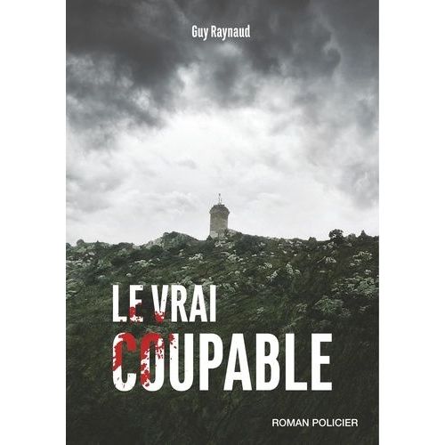 Le Vrai Coupable    Format Beau livre 
