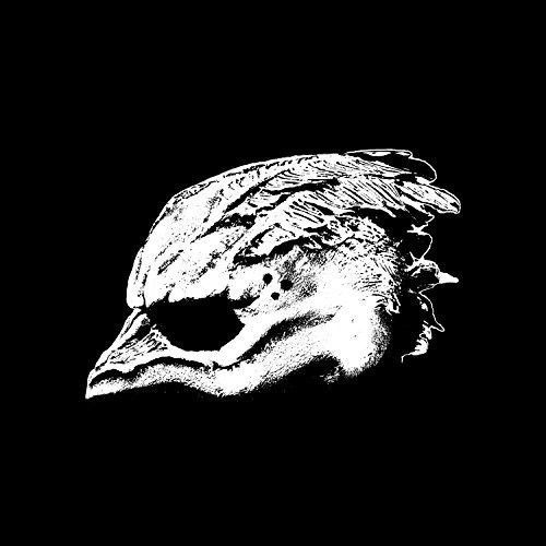 Legend Of The Seagul - Legend Of The Seagullmen [Vinyl] - Legend Of The Seagullmen