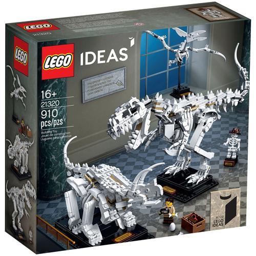 Lego Ideas - Les Fossiles De Dinosaures