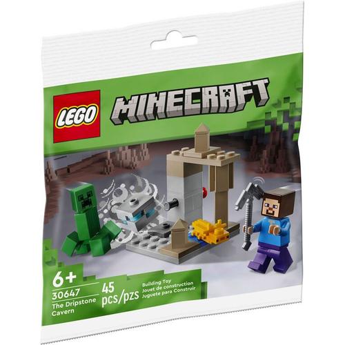 Lego Minecraft - La Caverne De Splothmes (Polybag)