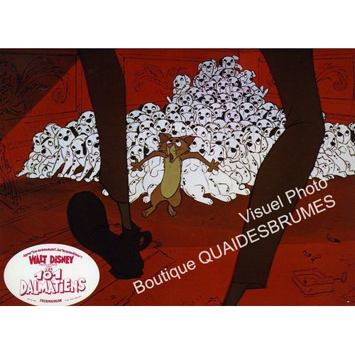 Les 101 Dalmatiens (Walt Disney): Jeu A De 11 Photos D'exploitation Cinmatographique - Format 24x30 Cm - De Clyde Geronimi, Hamilton Luske, Wolfgang Reitherman - 1961 Rdition 80s