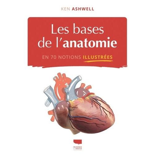 Les Bases De L'anatomie En 70 Notions Illustres   de Ashwell Ken  Format Beau livre 